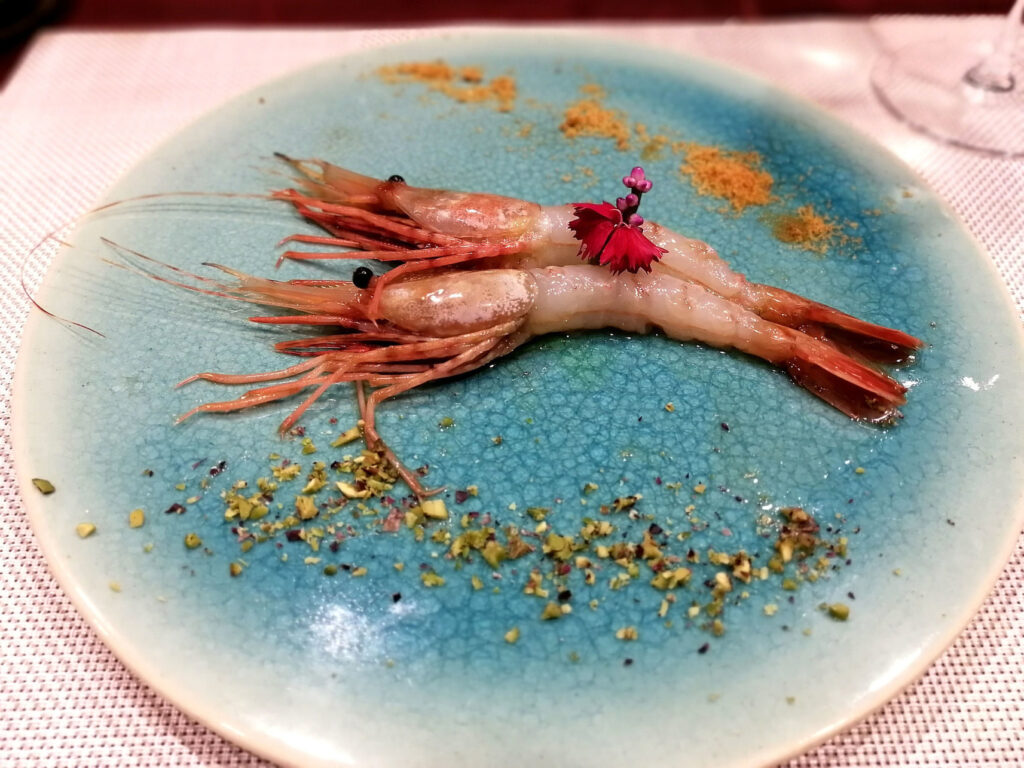 噴火湾の牡丹海老