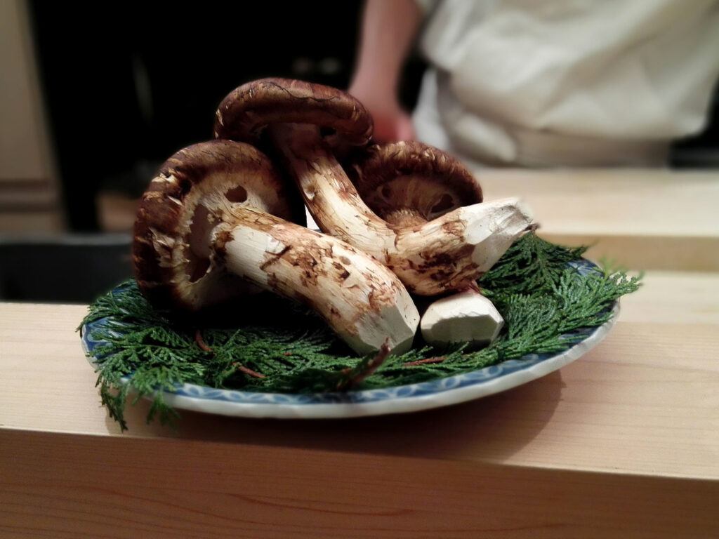 松茸